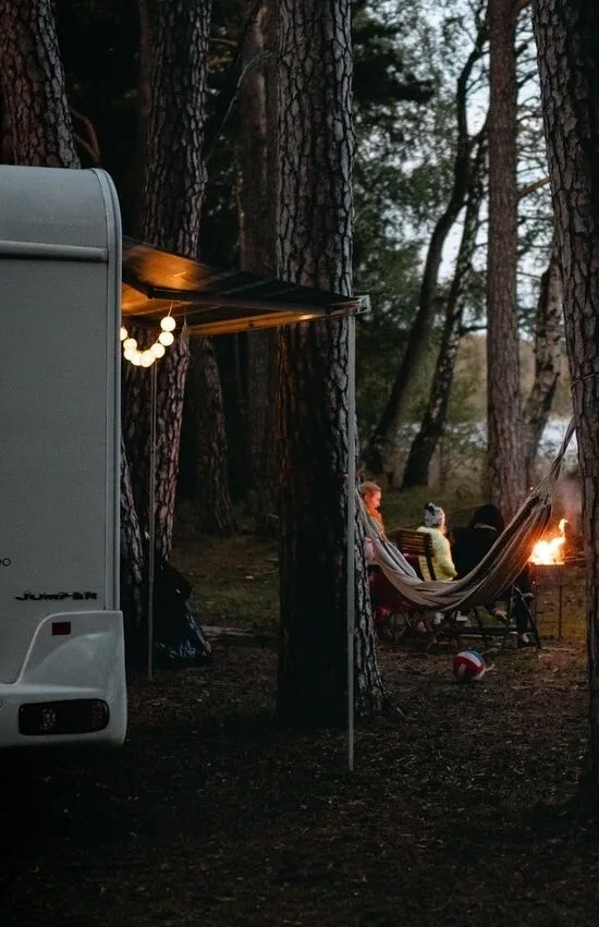 A couple of people hanging out in the woods