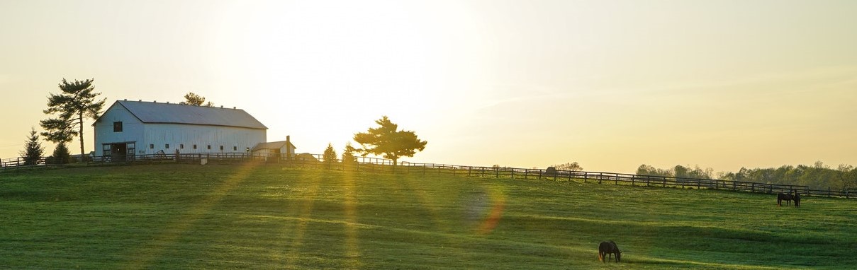 A field with trees and sun shining through the clouds.